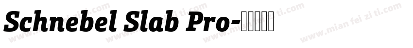 Schnebel Slab Pro字体转换